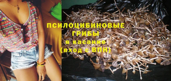 Альфа ПВП Коряжма