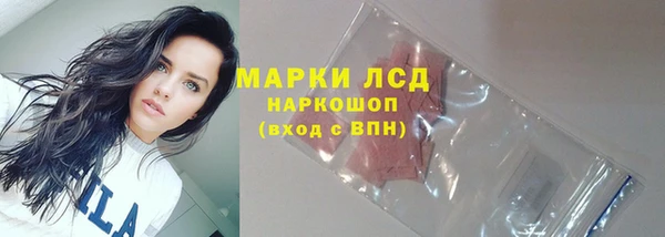 амф Костерёво