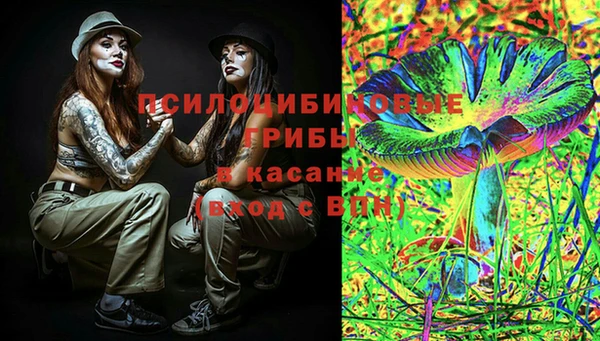 Альфа ПВП Коряжма