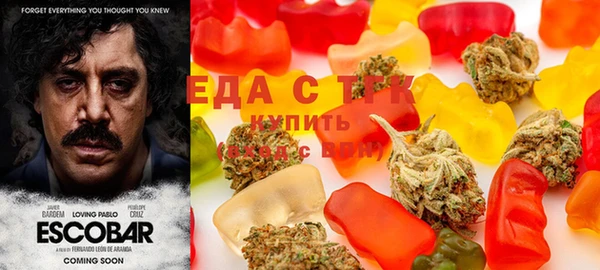 дживик Корсаков