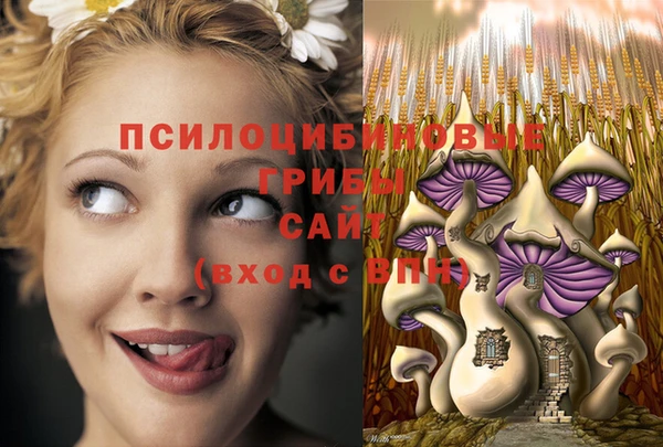 амф Костерёво