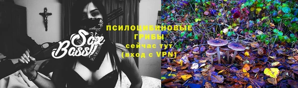 дживик Корсаков