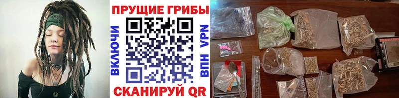 Псилоцибиновые грибы прущие грибы  Купить где  Киренск 